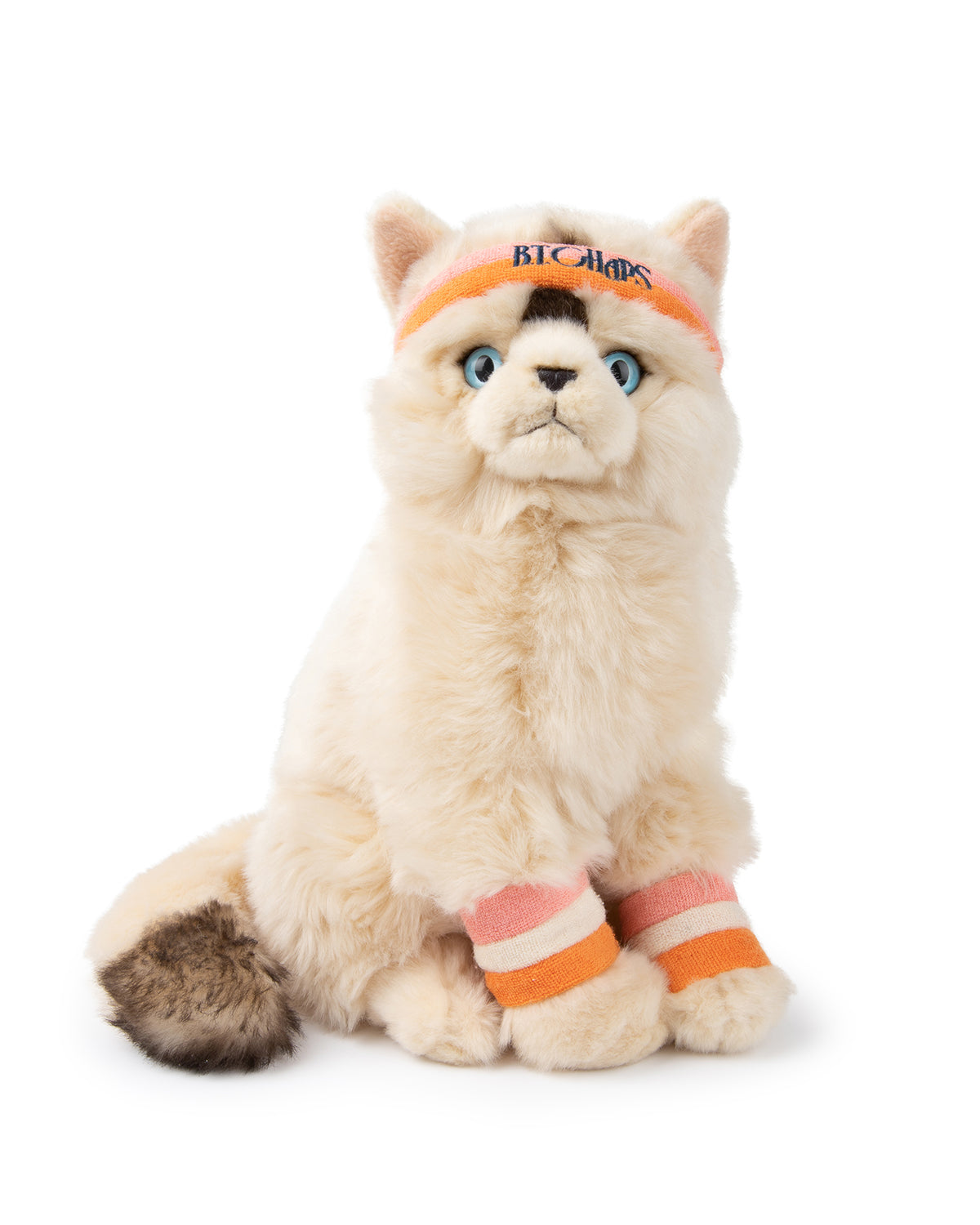 Plush BT CHAPS Dolly The Ragdoll 12.5"